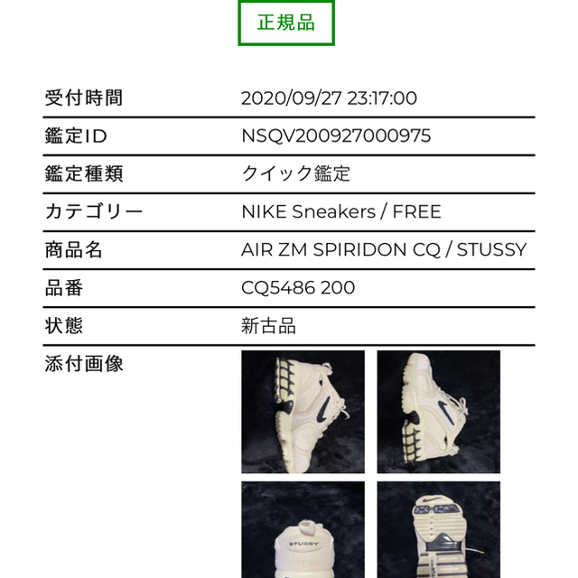 NIKE stussy スピリドン