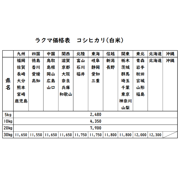 お米 令和2年 愛媛県産コシヒカリ 白米 10㎏ 米⁄穀物