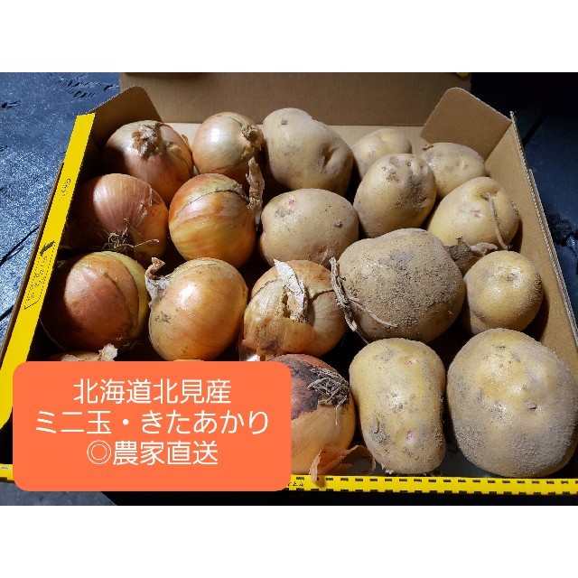 北海道 北見産 新 じゃがいも キタアカリ ミニ玉セット ◎農家直送 食品/飲料/酒の食品(野菜)の商品写真