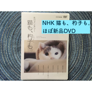 【ほぼ新品】猫も、杓子も。DVD(ドキュメンタリー)
