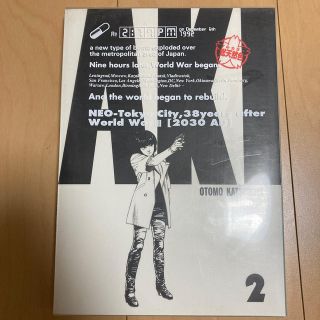 シーズー様専用　Ａｋｉｒａ 総天然色 ２(青年漫画)