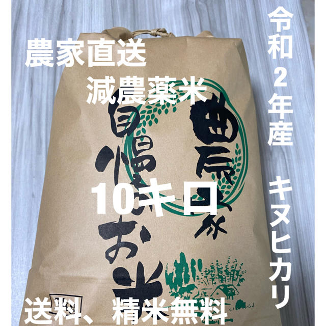 新米　令和2年産キヌヒカリ10キロ　和歌山よりお届け 食品/飲料/酒の食品(麺類)の商品写真