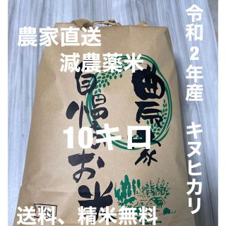 新米　令和2年産キヌヒカリ10キロ　和歌山よりお届け(麺類)