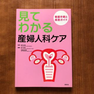 見てわかる産婦人科ケア 看護手順と疾患ガイド(健康/医学)