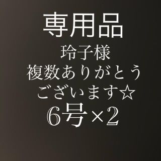 さびき 仕掛け針 2枚セット◉6号×2点 他より太く丈夫な糸 最安値 (釣り糸/ライン)