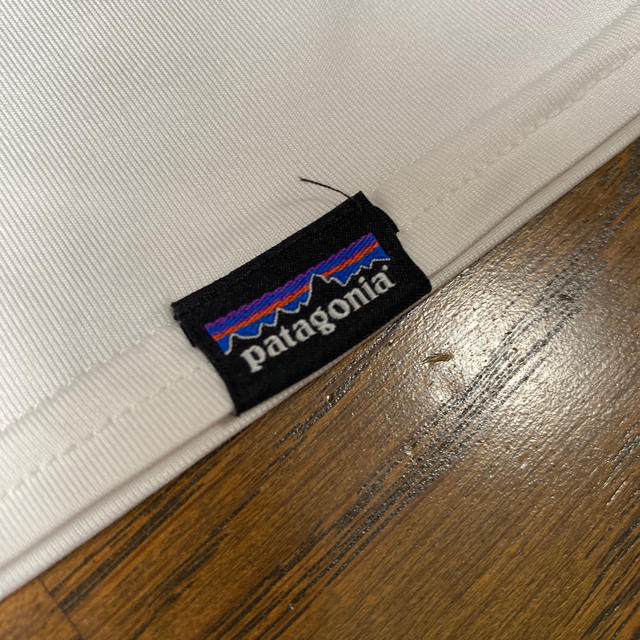 patagonia(パタゴニア)のPatagonia Tシャツ メンズのトップス(シャツ)の商品写真