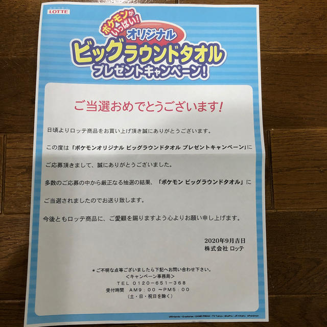 ポケモン(ポケモン)のオリジナルビッグラウンドタオル　ポケモン エンタメ/ホビーのアニメグッズ(タオル)の商品写真