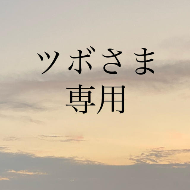 pinkflower様専用 夕焼雲 に人気 www.onbit.mx