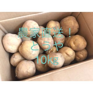 産地直送 特別価格！ とうや 10kg(野菜)