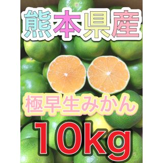 熊本県産極早生みかん10kg(フルーツ)