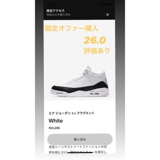 ナイキ(NIKE)のnike air jordan 3 fragment(スニーカー)