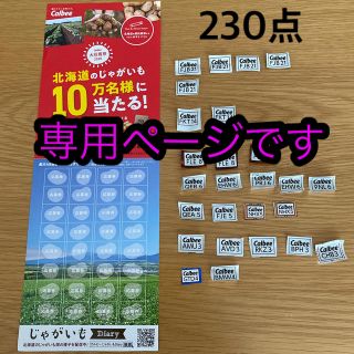 カルビー大収穫祭2020 応募券230点　懸賞　ハガキあります(その他)