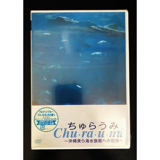 ちゅらうみ　沖縄美ら海水族館への招待　DVD 見本品(水族館)