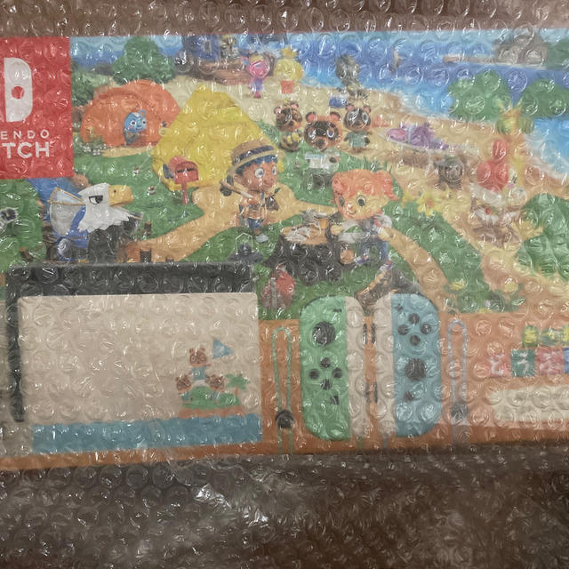 ニンテンドースイッチ　あつまれどうぶつの森　ダウンロード同梱