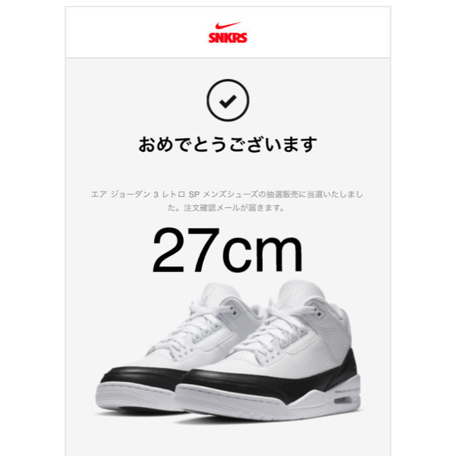 NIKE - エアジョーダン3 x フラグメント　27cm