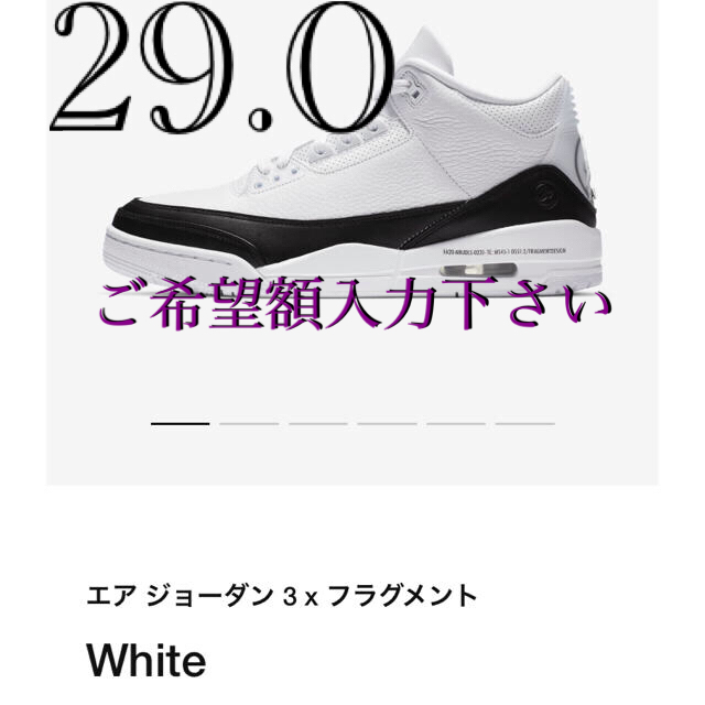 NIKE - AIR JORDAN3 fragment フラグメント　US11 29.0センチ