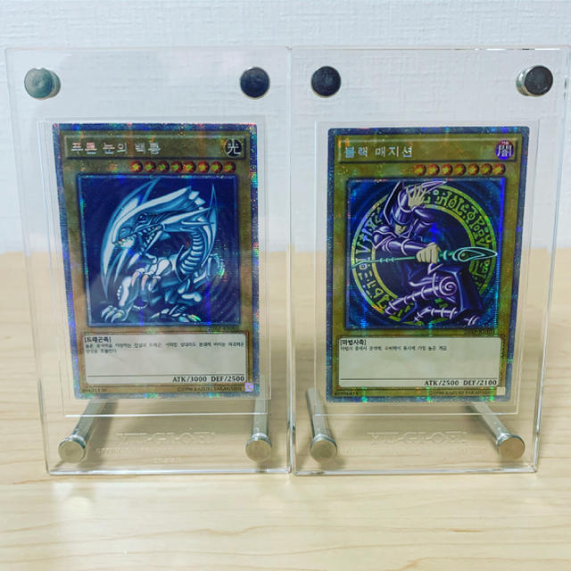 新品】進化のいし ミニ標本 新品】進化のいし ミニ標本
