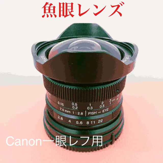 Canon一眼レフ用！魚眼レンズ！フィッシュアイレンズ！希少！初心者OK！