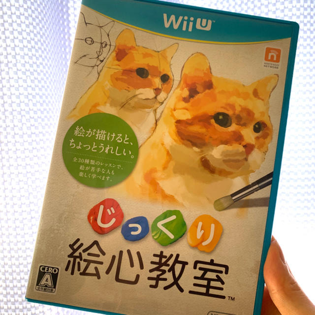 Wii U(ウィーユー)のじっくり絵心教室 Wii U エンタメ/ホビーのゲームソフト/ゲーム機本体(家庭用ゲームソフト)の商品写真