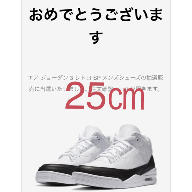 FRAGMENT DESIGN X NIKE AIR JORDAN 3 25㎝