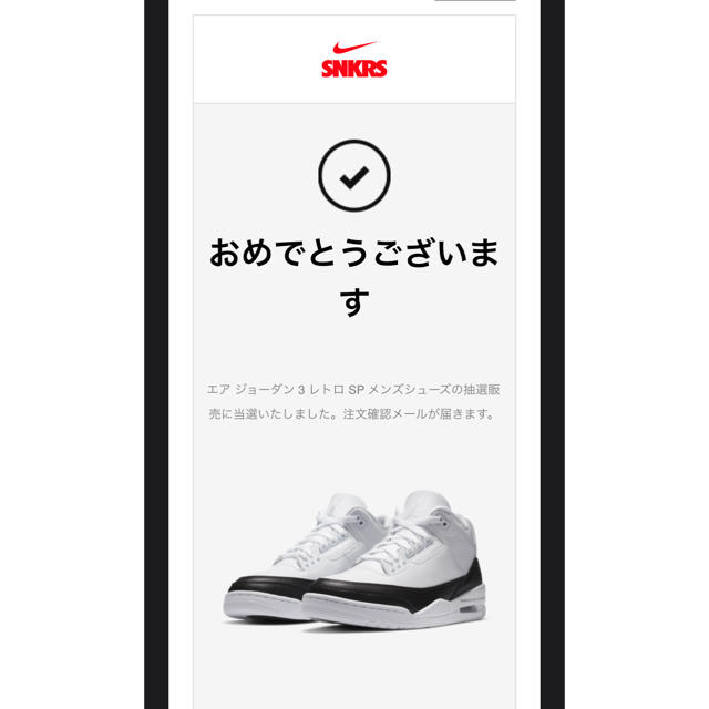 エアジョーダン3フラグメント　AJ3フラグメント