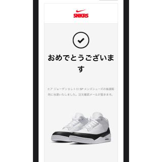 ナイキ(NIKE)のエアジョーダン3フラグメント　AJ3フラグメント(スニーカー)