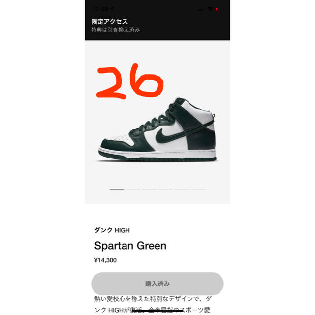 Nike Dunk High Pro Green グリーン 26