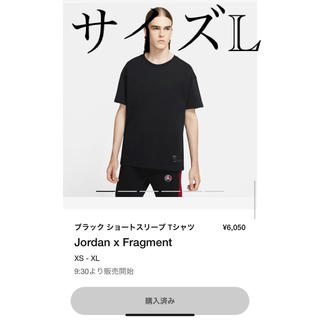 フラグメント(FRAGMENT)の希少Lサイズ　jordan×fragment Tシャツ Lサイズ(Tシャツ/カットソー(半袖/袖なし))