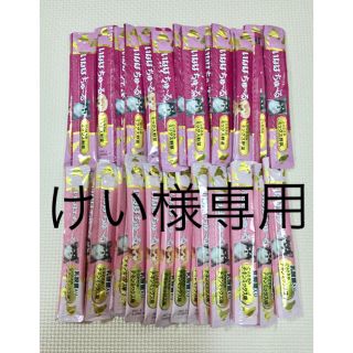 けい様専用 いなば ちゅーる 犬用 36本(ペットフード)