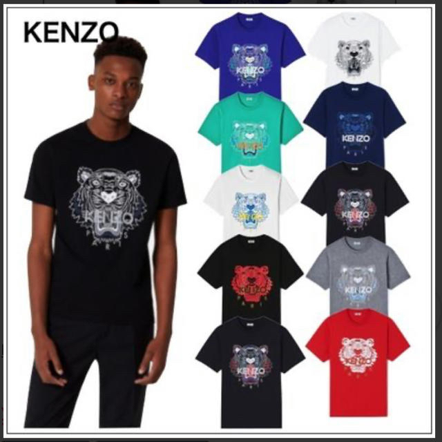 KENZO(ケンゾー)のkenzo Tシャツ　mサイズ メンズのトップス(Tシャツ/カットソー(半袖/袖なし))の商品写真