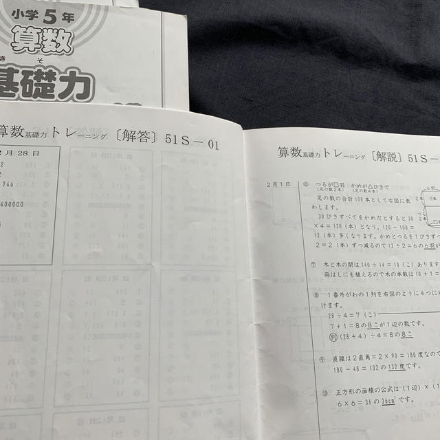 【書き込み無し】サピックス　SAPIX  5年 算数　基礎力トレーニング　1年分