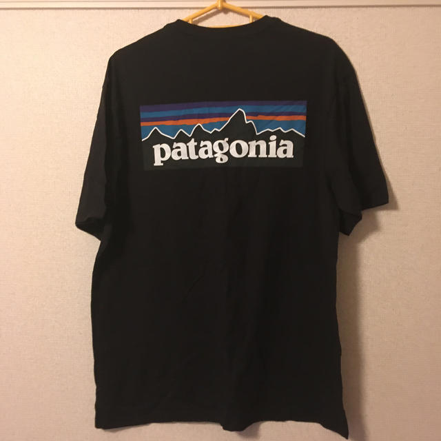 patagonia(パタゴニア)のパタゴニア　tシャツ   メンズのトップス(Tシャツ/カットソー(半袖/袖なし))の商品写真