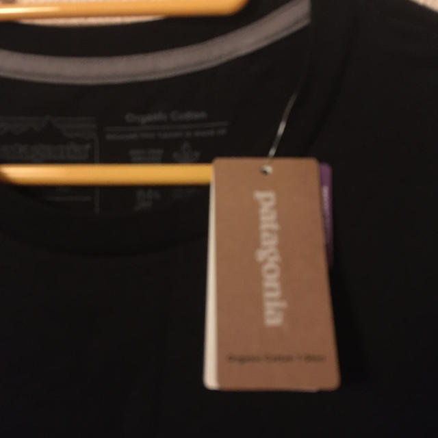 patagonia(パタゴニア)のパタゴニア　tシャツ   メンズのトップス(Tシャツ/カットソー(半袖/袖なし))の商品写真