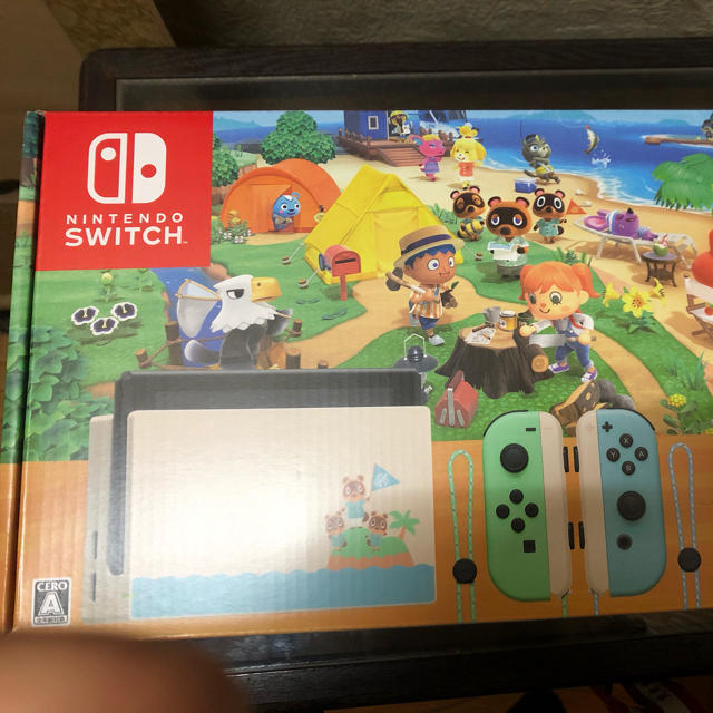 1個Joy-Con即日発送可能　Nintendo Switch  あつまれ どうぶつの森セット