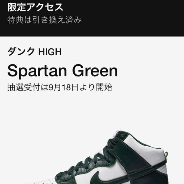 NIKE dunk high spartan green 28㎝ 1