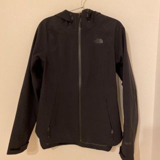 ザノースフェイス(THE NORTH FACE)のTHE NORTH FACE ノースフェイス　ゴアテックスジャケット(ナイロンジャケット)