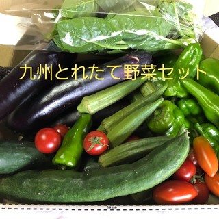 九州とれたて野菜セット　コンパクト便(野菜)