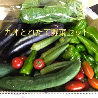 九州とれたて野菜セット　コンパクト便(野菜)