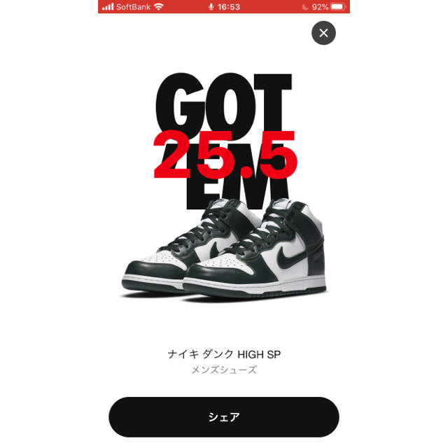 NIKE ダンク　ハイ