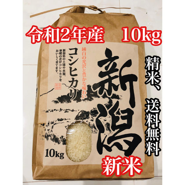 20kg　玄米　米/穀物