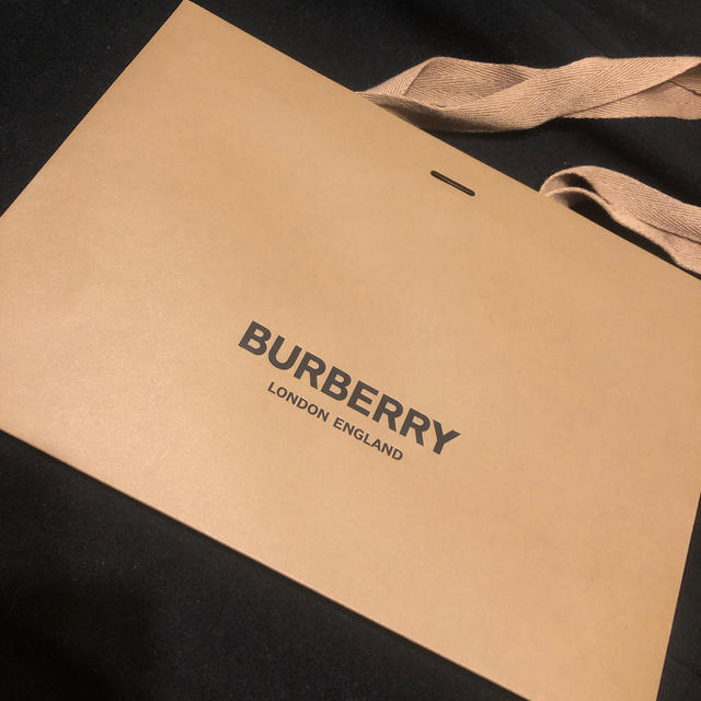 BURBERRY(バーバリー)のBurberry ショップ紙袋 おまけリボン付き レディースのバッグ(ショップ袋)の商品写真