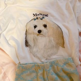 Lochie - ヴィンテージ マルチーズ Tシャツjantiques hooked itimiの