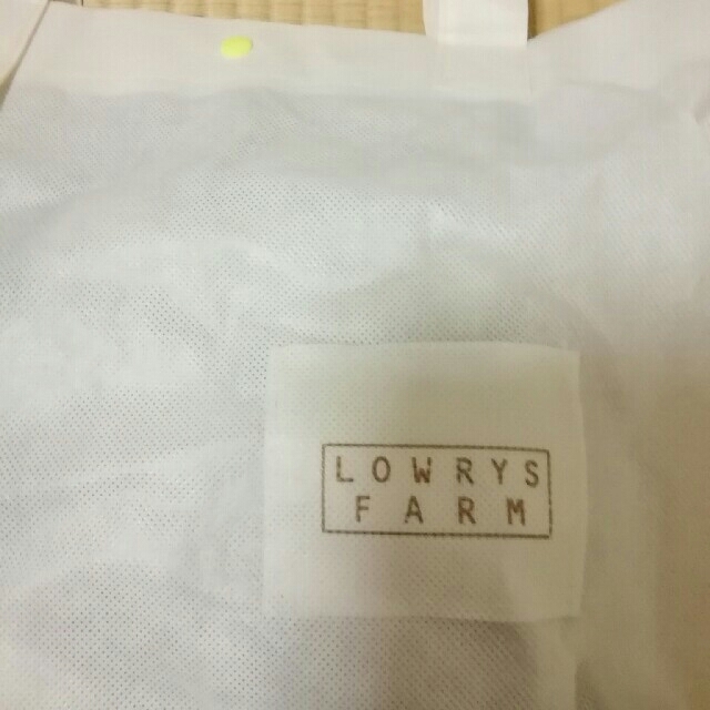 LOWRYS FARM(ローリーズファーム)のLOWRYS  FARM　毛皮ベスト レディースのトップス(ベスト/ジレ)の商品写真