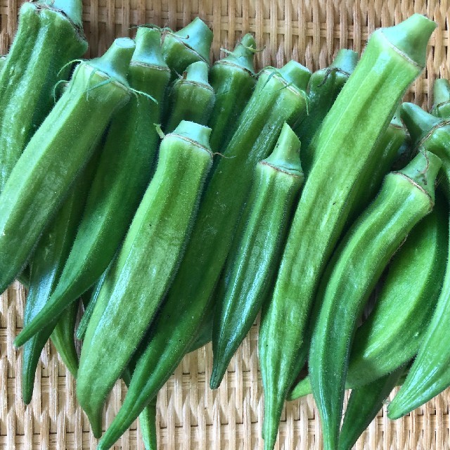 九州とれたて野菜セット 食品/飲料/酒の食品(野菜)の商品写真