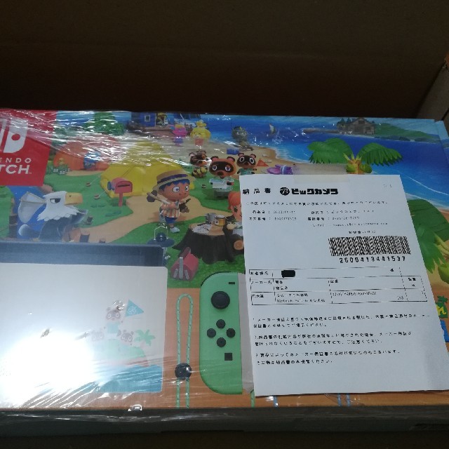 Nintendo Switch あつまれどうぶつの森セット