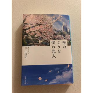 桜のような僕の恋人(文学/小説)