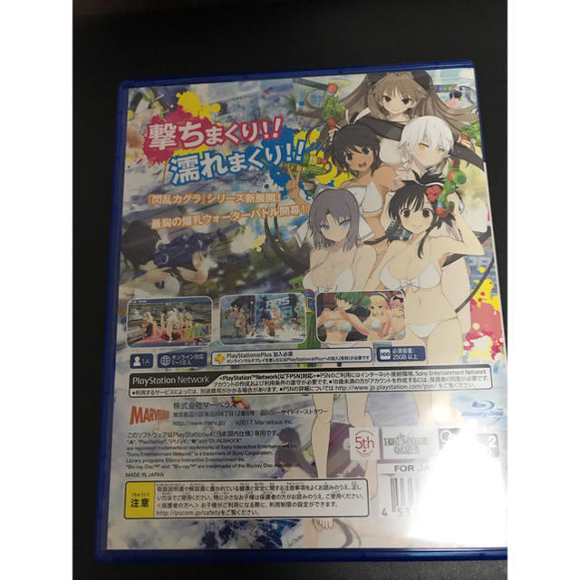 PlayStation4(プレイステーション4)の閃乱カグラ PEACH BEACH SPLASH PS4 エンタメ/ホビーのゲームソフト/ゲーム機本体(家庭用ゲームソフト)の商品写真