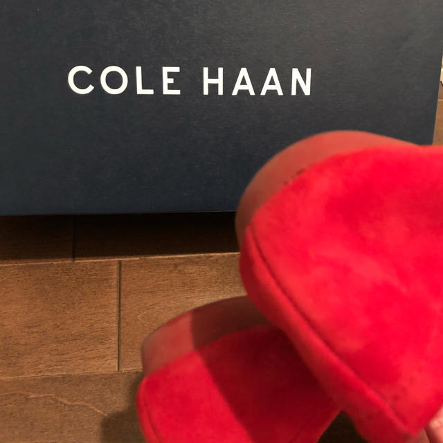 Cole Haan(コールハーン)のコールハーン　バレーシューズ　リボン　スエード レディースの靴/シューズ(ハイヒール/パンプス)の商品写真