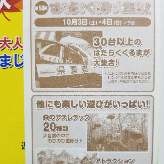 EUNHAEプロフ必読様専用　軽井沢おもちゃ王国入園無料券3枚 チケットの施設利用券(遊園地/テーマパーク)の商品写真