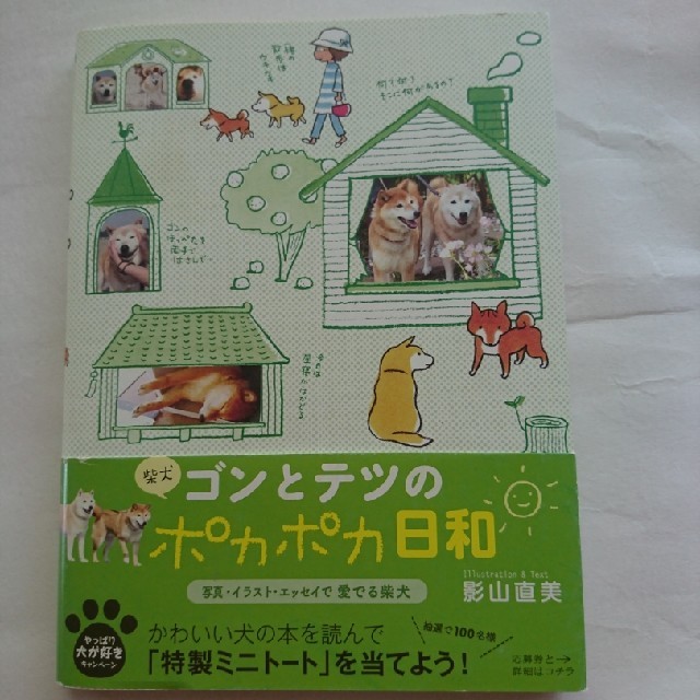 柴犬ゴンとテツのポカポカ日和の通販 By ゆべ S Shop ラクマ 柴犬ゴンとテツのポカポカ日和の通販 By ゆべ S Shop ラクマ